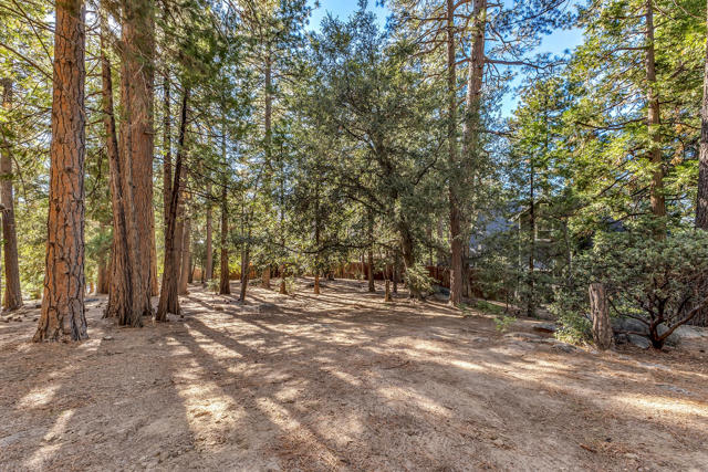52402 Pine Ridge Road, Idyllwild CA: https://media.crmls.org/mediaz/e61e51d6-642c-4f35-b5cc-f7436c1ae7c5.jpg