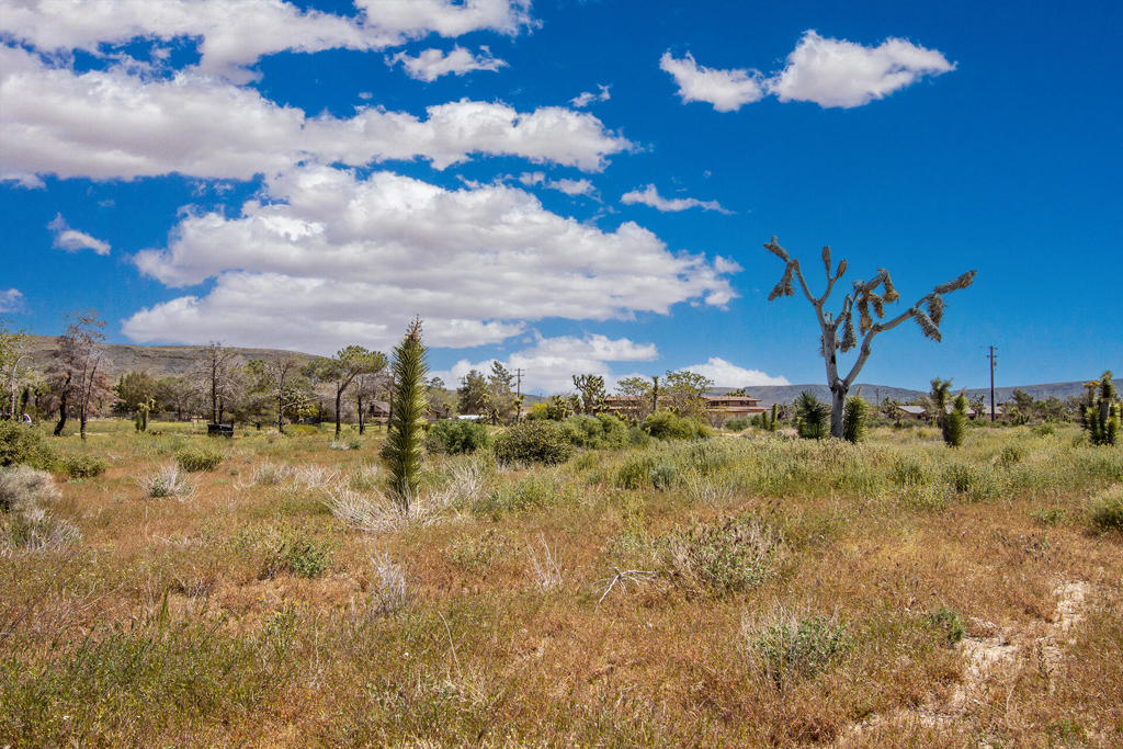 MLS #219139121PS image #13