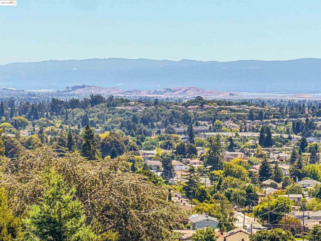 4329 Lawrence Dr, Castro Valley CA: https://media.crmls.org/mediaz/e63cf338-a039-4124-b0b4-995b2d5fdcc7.jpg