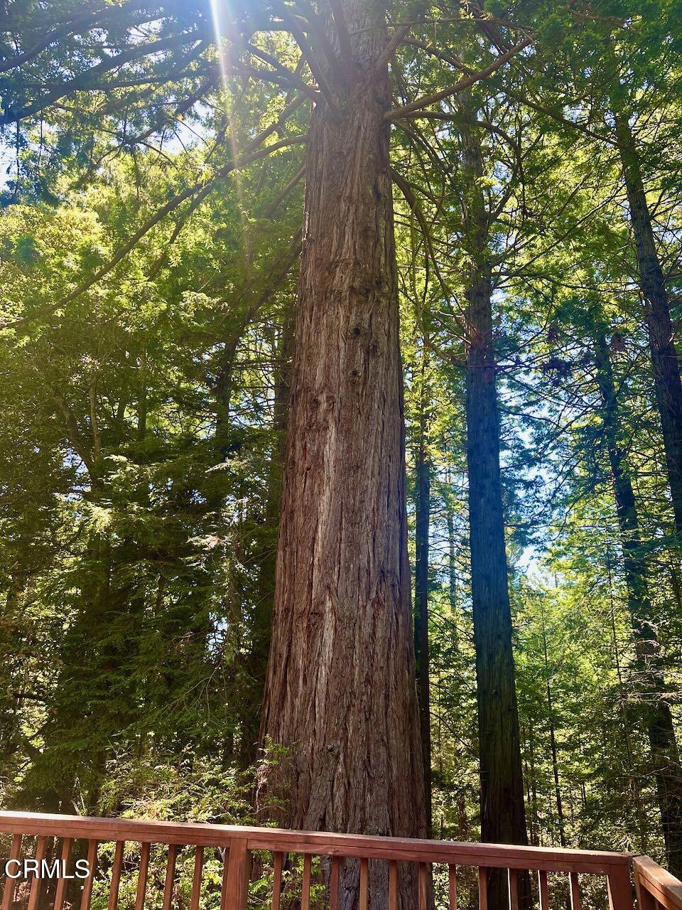 https://media.crmls.org/mediaz/e640e144-ba52-44ba-94ce-bbad4c6cecd3.jpg?preset=X-Large