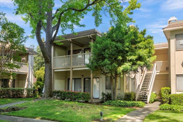 50 Horgan Avenue, Redwood City CA: https://media.crmls.org/mediaz/e6485eb9-3dc5-4ce8-a74d-372b6d148064.jpg