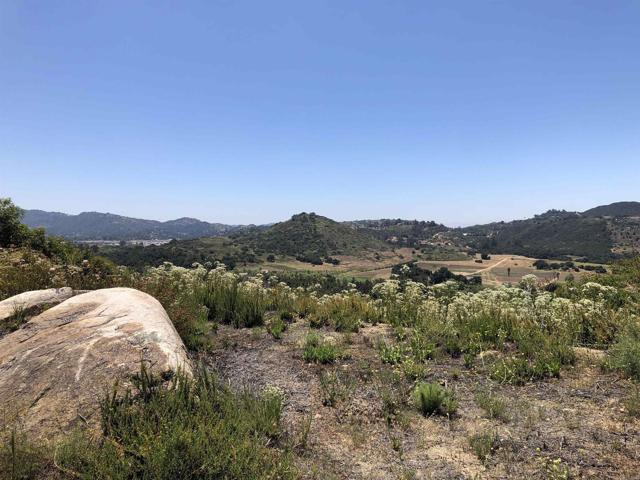 12465 Hillpoint Court, Valley Center CA: https://media.crmls.org/mediaz/e649a595-b8b1-40a1-8eb2-1c9fbc9cdce3.jpg