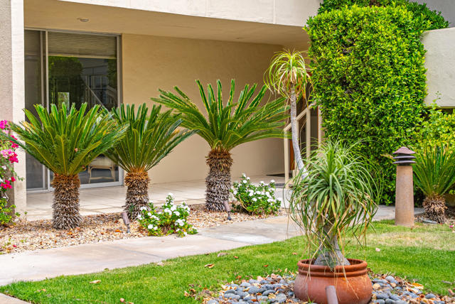 477 Desert Lakes Drive, Palm Springs CA: https://media.crmls.org/mediaz/e65b9150-36d8-446b-a17f-83f1b09da52d.jpg