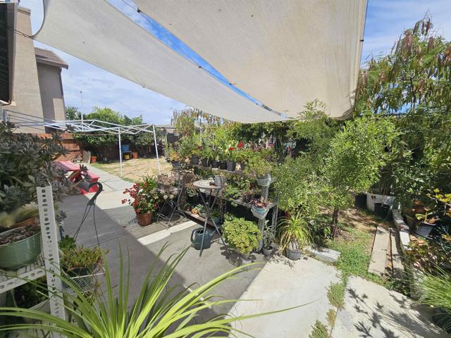 13440 Forestwood Way, Lathrop CA: https://media.crmls.org/mediaz/e65c700a-d7ad-4f17-89d1-cae573d14361.jpg