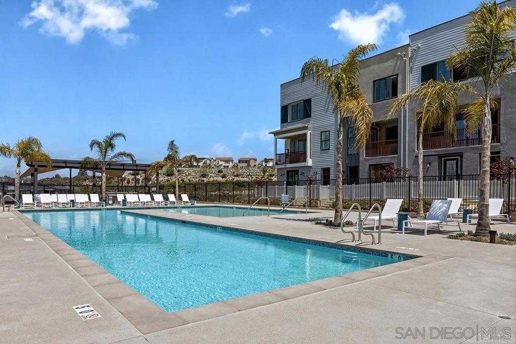 2586 Delphinium - photo 4