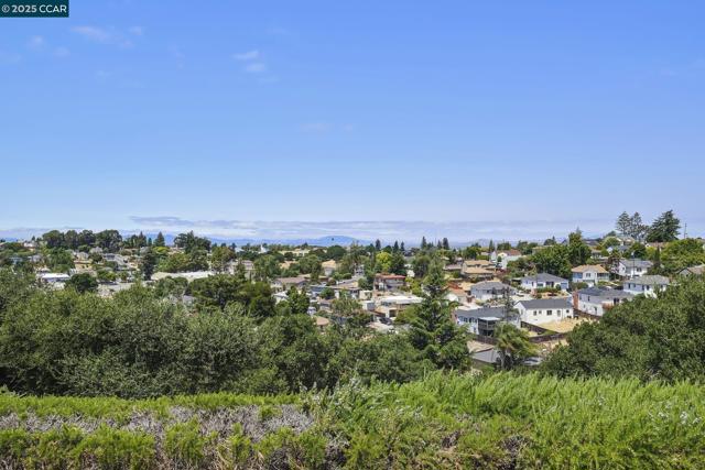 801 Laurel Ct, Rodeo CA: https://media.crmls.org/mediaz/e66b4272-fae4-4e13-b1c7-bfbb78f116d4.jpg