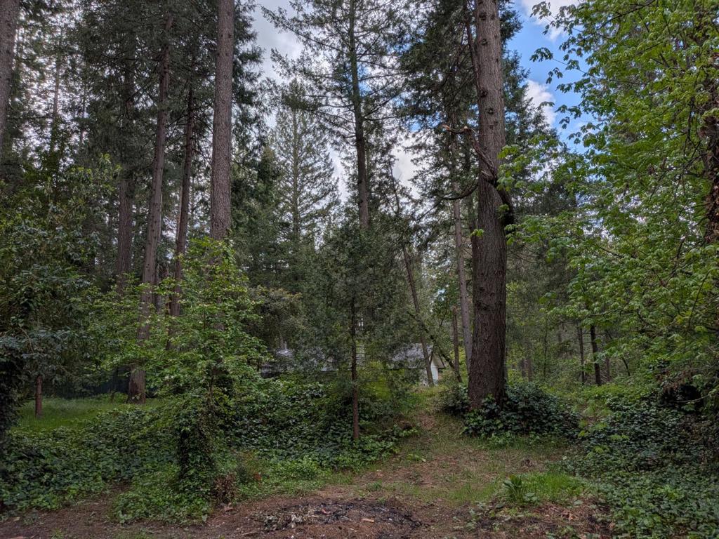 https://media.crmls.org/mediaz/e66b8b90-faee-4bde-b1e0-34a975df5228.jpg?preset=X-Large