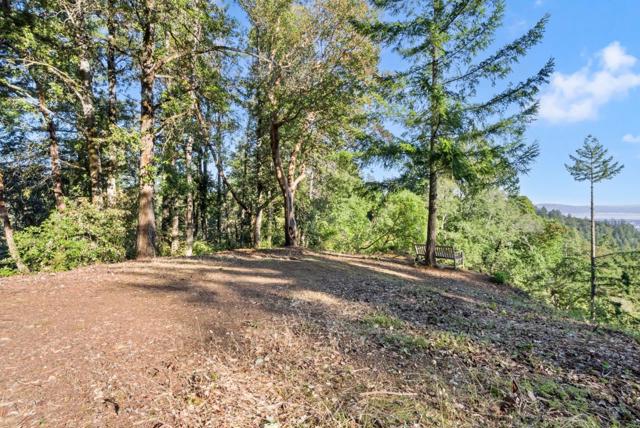 0 Allen, Woodside CA: https://media.crmls.org/mediaz/e6839a80-fe72-4e32-8ee7-7396facf3a45.jpg