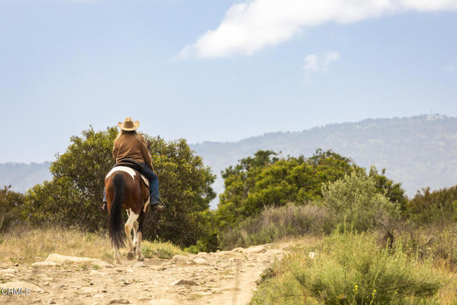 1797 Foothill Road, Ojai CA: https://media.crmls.org/mediaz/e6a63c03-33ed-49f5-89c0-39d77057bca2.jpg