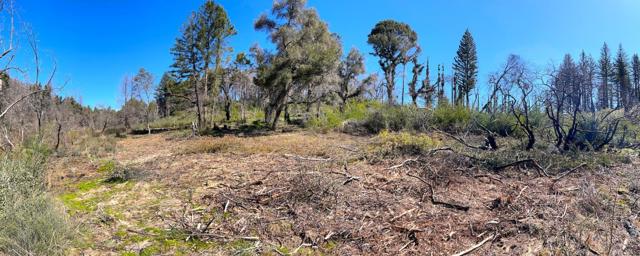 11035 Empire Grade, Santa Cruz CA: https://media.crmls.org/mediaz/e6af9ebd-03df-4d59-aeb5-50b7a3bad5a5.jpg