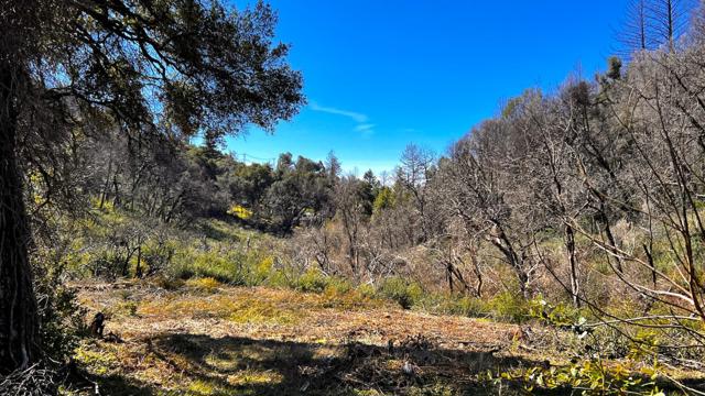 11035 Empire Grade, Santa Cruz CA: https://media.crmls.org/mediaz/e6b5a6ef-3188-4d07-ab89-ff67e4ebf90e.jpg
