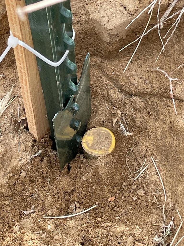 MLS #219145913DA image #14