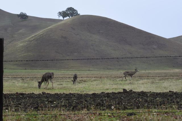 Image 5 of 23 For 1700 Finley Road