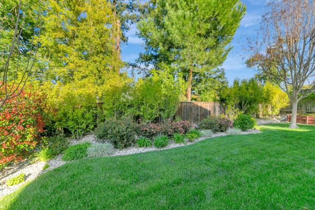6508 Circle Hill Drive, San Jose CA: https://media.crmls.org/mediaz/e6bfa7f2-491d-4600-b358-b7dac36cf6f1.jpg