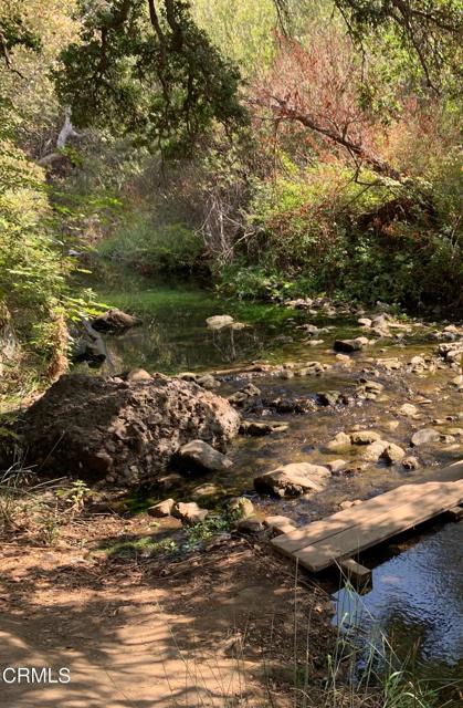 Wildwood trail stream