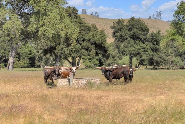 770 Limekiln Road, Hollister CA: https://media.crmls.org/mediaz/e6cbd3c4-ec0c-4c97-bfd9-91e159b7449f.jpg