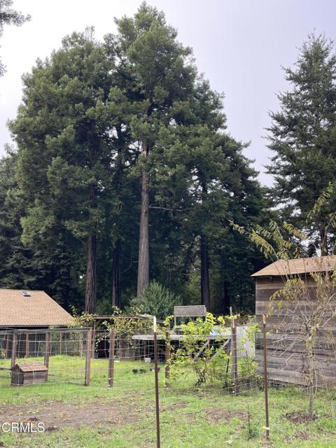 Detail Gallery Image 50 of 70 For 14875 Atkins Way, Fort Bragg,  CA 95437 - 3 Beds | 2 Baths