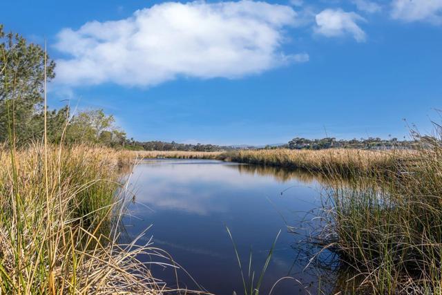 Detail Gallery Image 15 of 25 For 2522 Thyme Way, Carlsbad,  CA 92008 - 4 Beds | 3/1 Baths