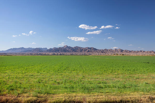 Image 23 of 52 For 9645 4th Avenue