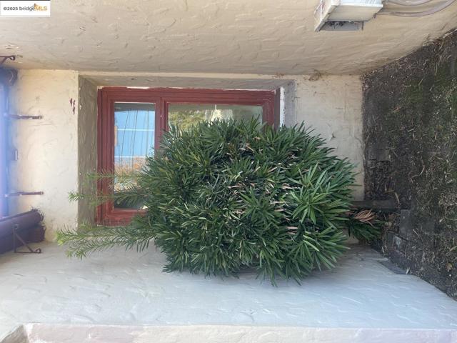 2890 Concord BLVD, Concord CA: https://media.crmls.org/mediaz/e6e176a8-a558-48f1-9d2a-87e85182148a.jpg