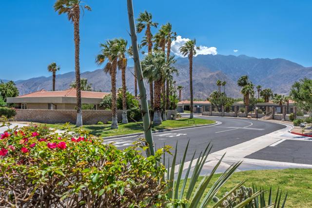 3162 Sunflower N Loop, Palm Springs CA: https://media.crmls.org/mediaz/e6e2642a-e25d-4a92-bffd-c7a2339b7fe2.jpg
