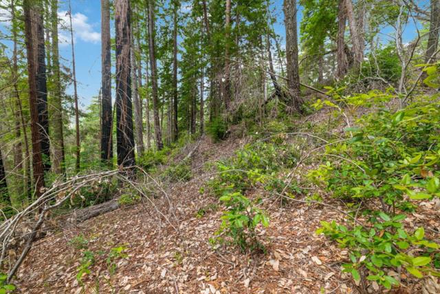 3 Bloom Grade, Boulder Creek CA: https://media.crmls.org/mediaz/e6ed1bc9-b620-4bde-a9e2-e72a81602d39.jpg
