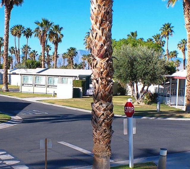 84136 Avenue 44 #602, Indio CA: https://media.crmls.org/mediaz/e6f18dfc-bf49-429b-84bd-cd423ebed036.jpg