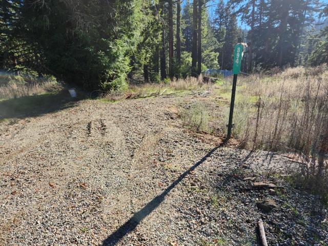 894 Stewart Street, Boulder Creek CA: https://media.crmls.org/mediaz/e7060aea-35b9-4b48-8c94-3cc396f1ad69.jpg