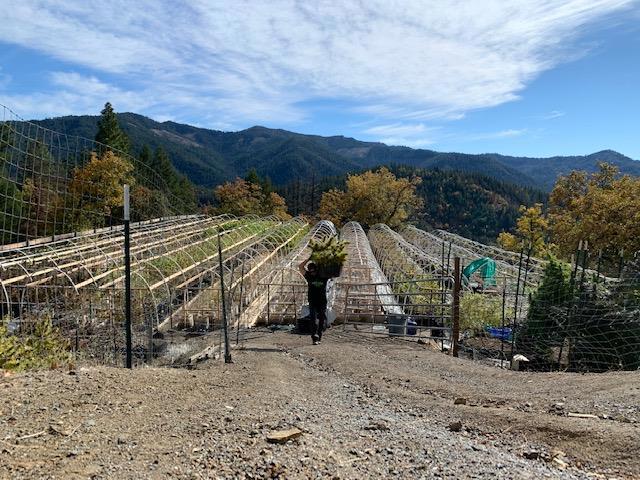 1900 Devils Gulch Road, Hayfork CA: https://media.crmls.org/mediaz/e7061e56-1df1-44b9-bc96-29fddf69e754.jpg