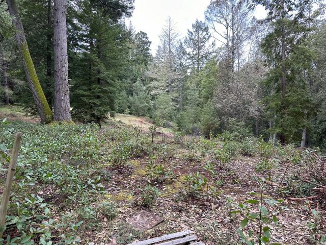 0 Eureka Canyon Road, Watsonville CA: https://media.crmls.org/mediaz/e7193a6a-6daa-44a5-a897-8a9ef292f67c.jpg