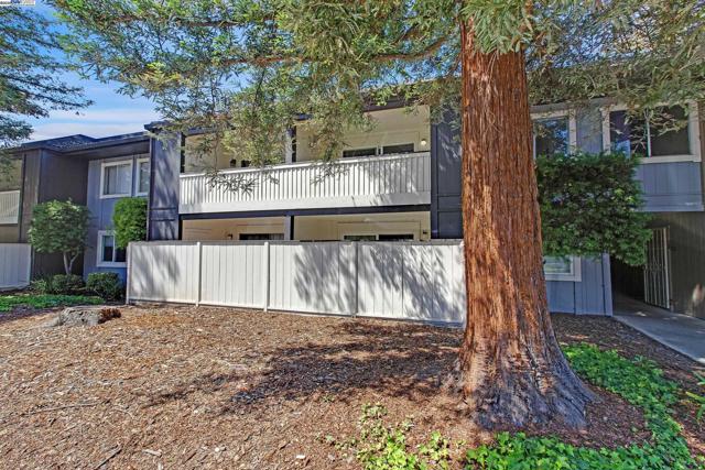 47112 Warm Springs Blvd, Fremont CA: https://media.crmls.org/mediaz/e71ea4f6-11cb-411d-a634-f2854ab7aa6d.jpg