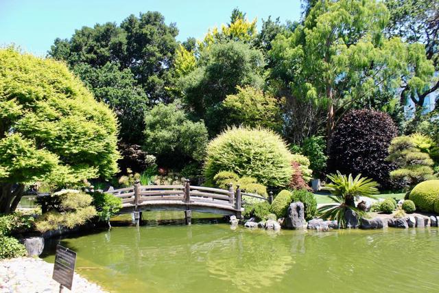 1249 Oak Street, San Mateo CA: https://media.crmls.org/mediaz/e728fa06-eb24-40f3-bc73-f99d432afc0a.jpg