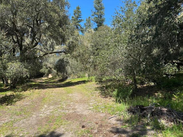 0 Hidden Glen Drive, Scotts Valley CA: https://media.crmls.org/mediaz/e72c5e85-7a94-4296-a968-a75fa7a208f9.jpg