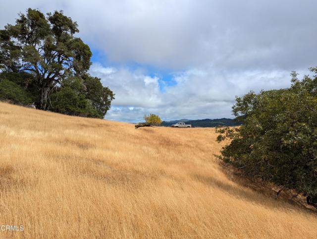 Detail Gallery Image 47 of 59 For 24051 Fig Tree Ln, Yorkville,  CA 95494 - – Beds | – Baths