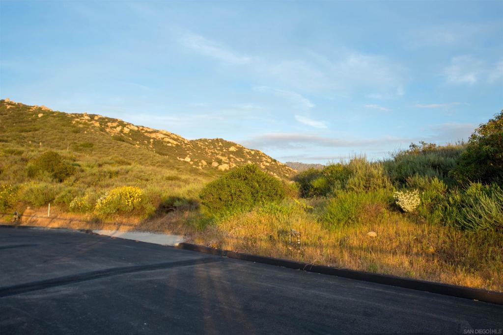 MLS #250030057SD image #47