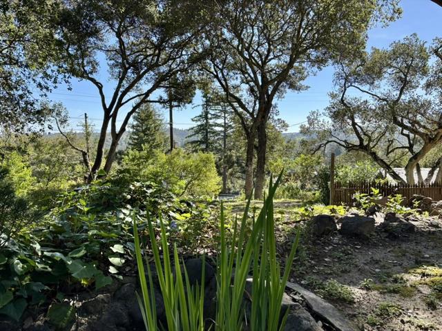 102 Santa Maria Avenue, Portola Valley CA: https://media.crmls.org/mediaz/e742dabf-a722-46e5-a45e-575b51da0da2.jpg