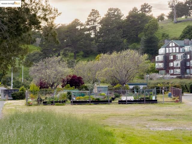 1301 Quarry Ct, Richmond CA: https://media.crmls.org/mediaz/e7437686-aa8e-4552-b138-50c736103aed.jpg