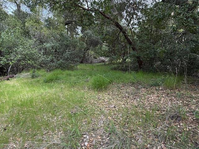 11 Little Uvas Road, Morgan Hill CA: https://media.crmls.org/mediaz/e7492099-e833-46e4-b5fd-aca5b7d48a2e.jpg