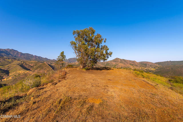 0 Malibu Road, Malibu CA: https://media.crmls.org/mediaz/e749e9f3-7175-4270-ad3b-74ee85c9af72.jpg