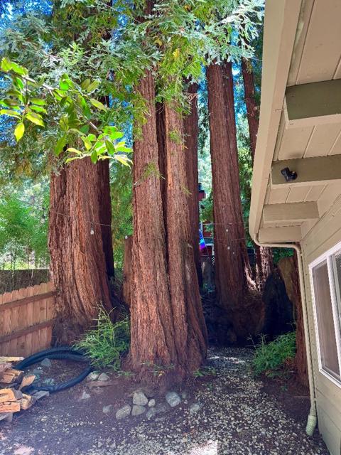 144 Monaco Lane, Boulder Creek CA: https://media.crmls.org/mediaz/e75605fb-2daf-4e3a-be36-317941d642ab.jpg