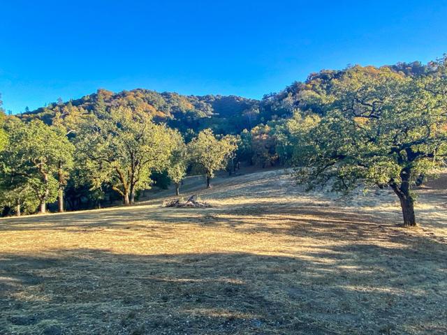 22 Arroyo Sequoia, Carmel CA: https://media.crmls.org/mediaz/e75ec648-50de-45e3-9a63-9df98e2827cf.jpg