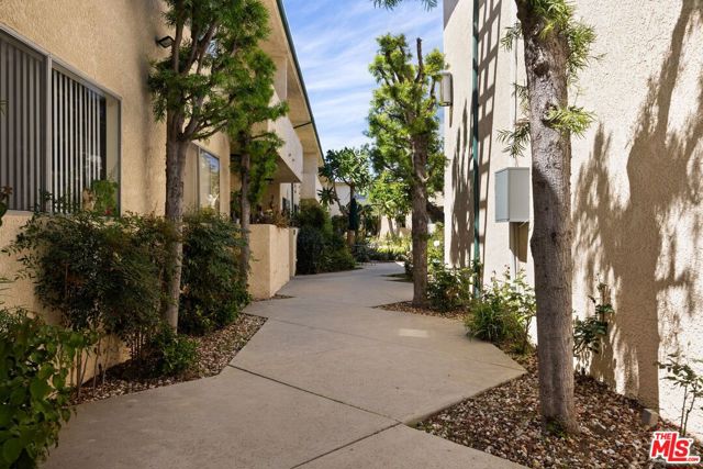 5328 Newcastle Avenue, Encino CA: https://media.crmls.org/mediaz/e7778aec-ce71-49b5-9fb0-b398d89215ab.jpg