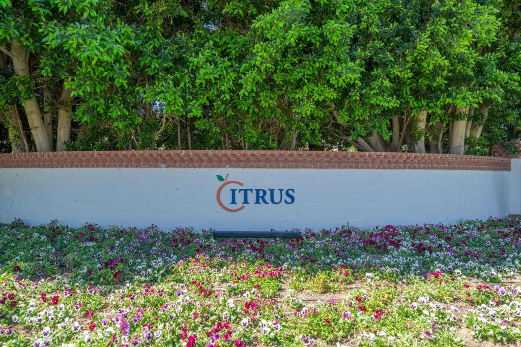 MLS #219137275DA image #56