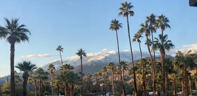 1111 E Palm Canyon Drive, Palm Springs CA: https://media.crmls.org/mediaz/e79d426e-314a-4dda-8d0b-ece719e35508.jpg