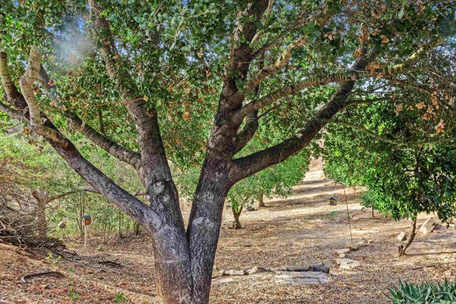 Detail Gallery Image 42 of 45 For 12711 Big Bend Way, Valley Center,  CA 92082 - 4 Beds | 3/1 Baths