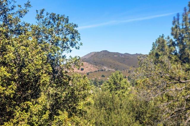 8141 Pine Blvd, Pine Valley CA: https://media.crmls.org/mediaz/e7b4d823-f697-4e0e-8cc8-c646f2c4e18f.jpg