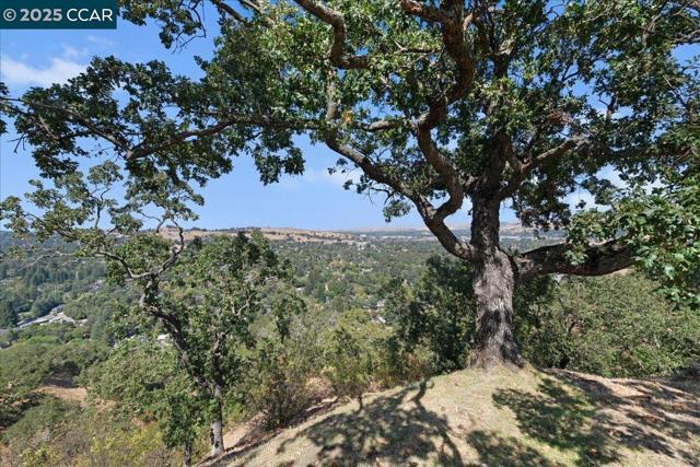 1256 Skycrest Dr, Walnut Creek CA: https://media.crmls.org/mediaz/e7b63929-f1bc-49b1-ae30-e58fd1b9dee6.jpg