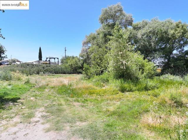 424 Park Ln, Bethel Island CA: https://media.crmls.org/mediaz/e7bcab45-9f8f-4b33-b12b-c56ea925580b.jpg