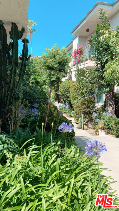 11081 ROSE Avenue, Los Angeles CA: https://media.crmls.org/mediaz/e7c0e181-3c27-4fed-b5ef-5fb58dc739f3.jpg