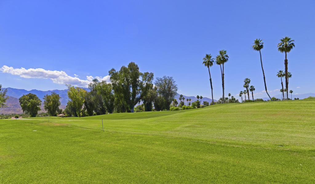 MLS #219130229DA image #29